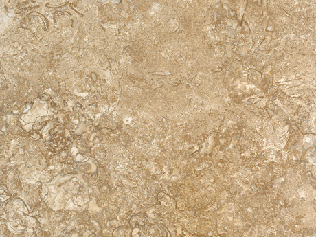 noce travertine honed filled